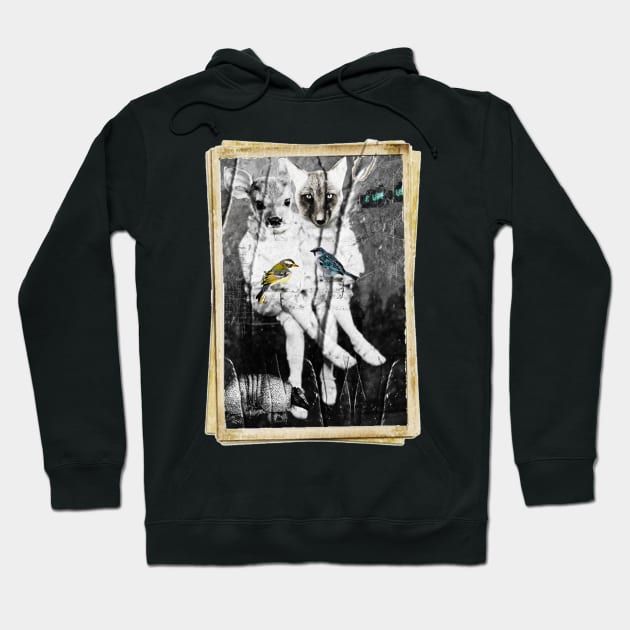 Deerfox Sisters Hoodie by funhousejen